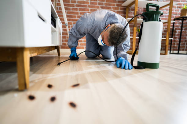 pest control miami