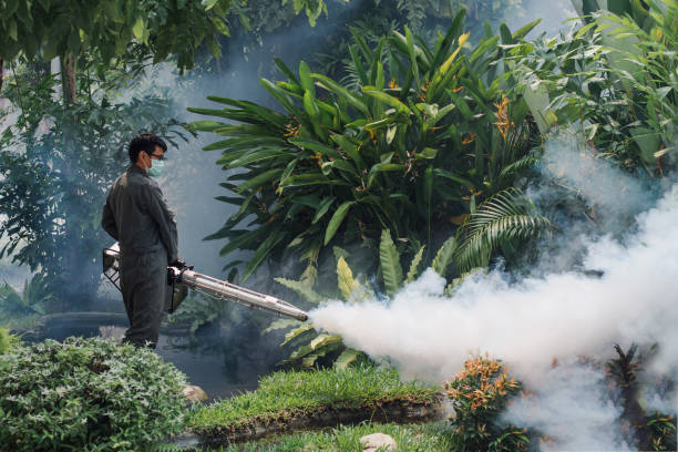 pest control miami