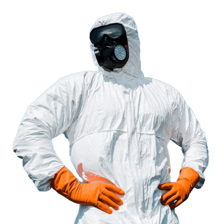 pest control miami