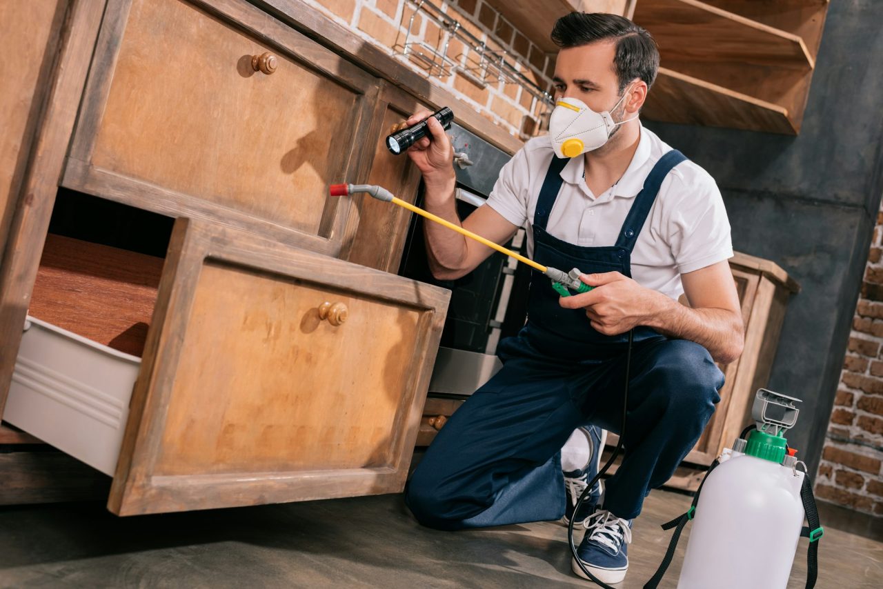 Pest Control Miami