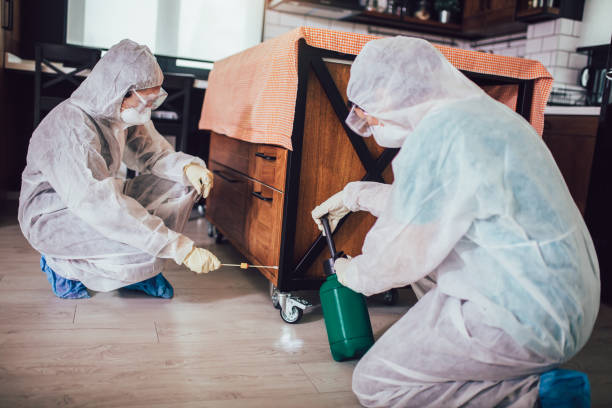 Mosquito Control Miami