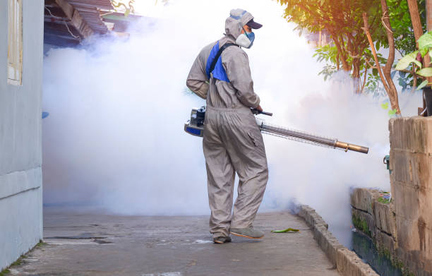 Mosquito Control Miami
