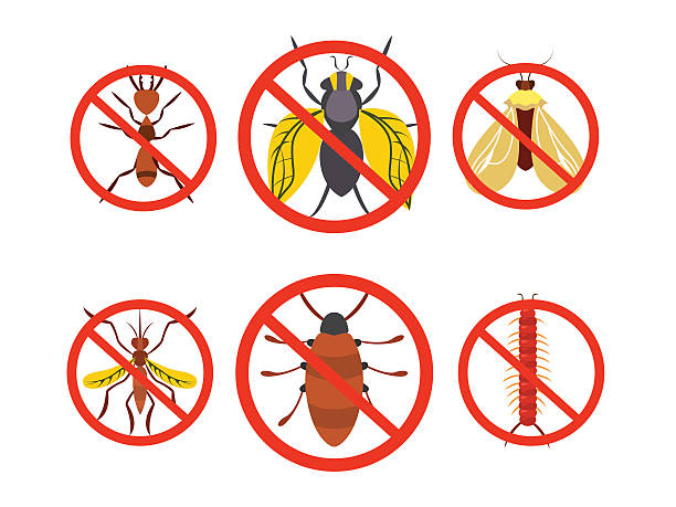 Flea & Tick Control Miami