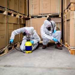 Termite Control Miami Termite Control Miami