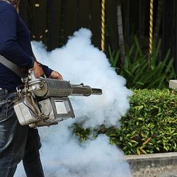 Mosquito Control Miami Mosquito Control Miami